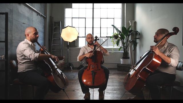 Concerning Hobbits (LOTR) - Cello Cover смотреть онлайн