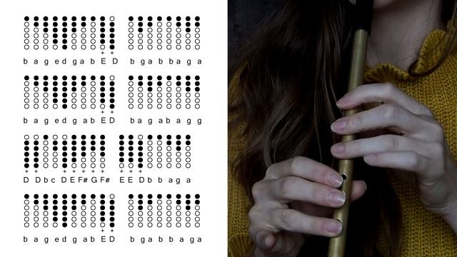 LAMENT FOR KILCASH - Irish Music For Tin Whistle | Tabs + Tutorial смотреть онлайн