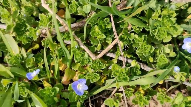 Что происходит прямо сейчас. Сводка на 23 03 2023 смотреть онлайн