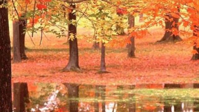 "Быть всегда вместе и в горе..." Самобичевание, манипуляции в отношениях смотреть онлайн