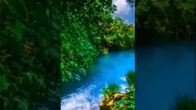 Природа Земли (моё личное стихотворение) смотреть онлайн