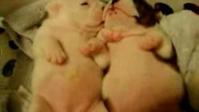 Позитивчик смотреть онлайн