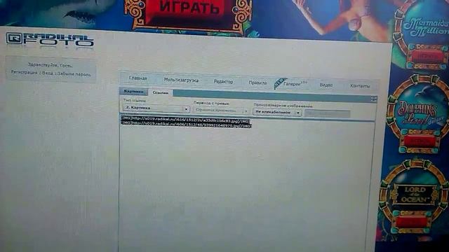 радикал загрузка фото смотреть онлайн
