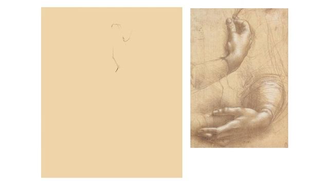 studying Leonardo Da Vinci's drawings • digital sketching timelapse in procreate смотреть онлайн