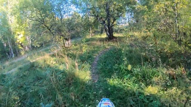 лесная тропинка !!! смотреть онлайн