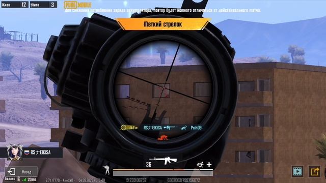 HIGHLIGHTS | PUBGM
