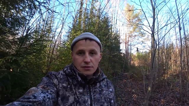 Охочусь и богатею! Нашёл кучу металла в лесу и чагу. Охота на рябчика. смотреть онлайн