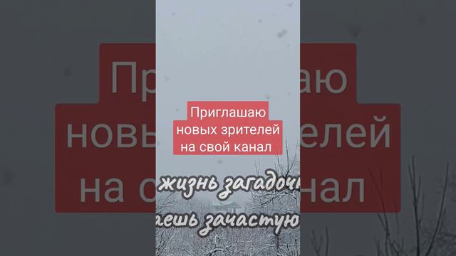 #стихи #поэзия #пожелание #поздравление #любовь #жизнь #красивыестихи #сднемрождения #доброеутро смотреть онлайн