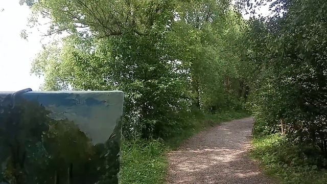 Картина маслом, живопись на природе, на берегу озера. Художник Смотрин Андрей. Переславль-Залесский смотреть онлайн