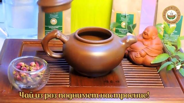 Бутоны китайской розы смотреть онлайн