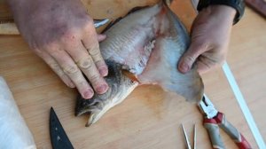 Сдираем кожу с окуня.Чистим окуня быстро легко просто в домашних условиях