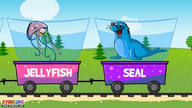 The Sea Animal Words for Toddlers | Sea Animals Train смотреть онлайн