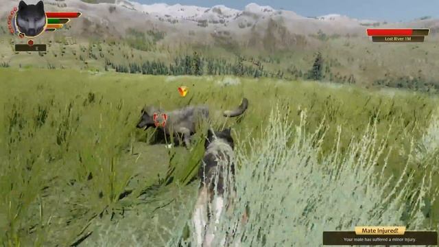 A Brutal Bison BETRAYAL in the Burned Grasslands?! ?? Wolf Quest: LOST ECHOES • #34 смотреть онлайн