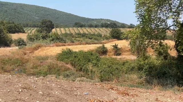 Bağ evi için su deposu alırken dikkat edilmesi gerekenler смотреть онлайн