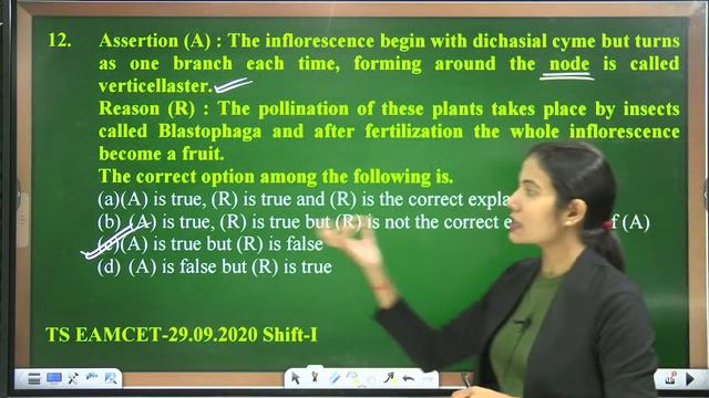 NEET 2024 MORPHOLOGY OF FLOWERING PLANTS Update PYQ || Previous Year Questions || Inflorescence смотреть онлайн