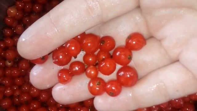 Желе: традиционные рецепты на ваш выбор