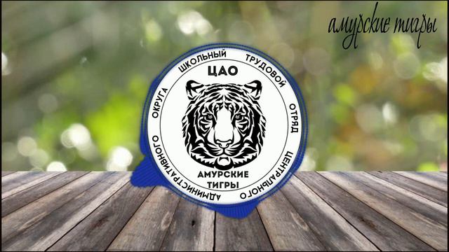 Трек ЦАО "Амурские тигры" смотреть онлайн
