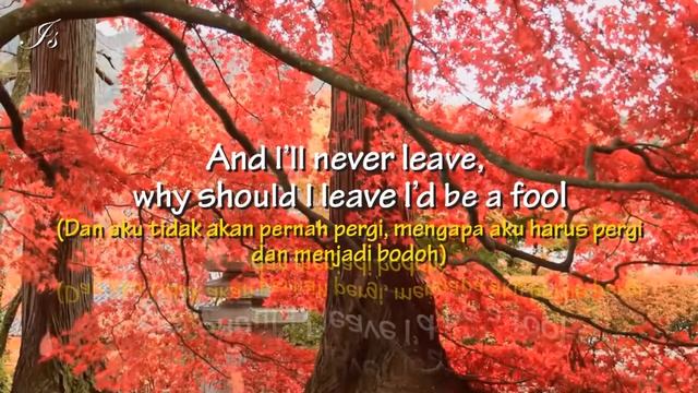 You needed me - anne murray (Lirik & terjemahan) смотреть онлайн