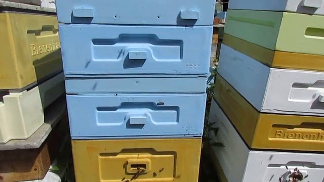 простой способ уйти от роения семьи и заменить старую матку на молодую - улей биненхаус смотреть онлайн