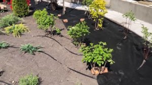 Отсыпка клумб корой | как избавиться от сорняков