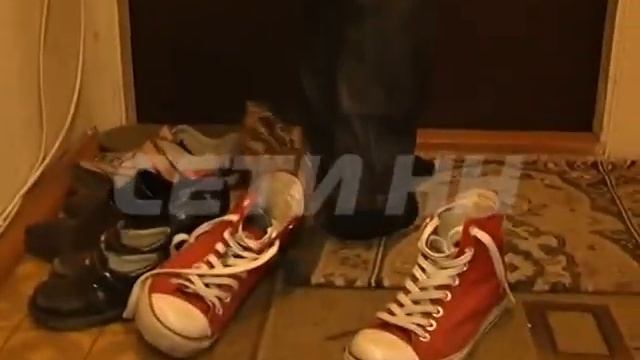 Вальдшнеп заблудился в каменных джунглях смотреть онлайн