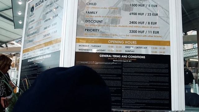 Влог из Будапешта: кафе Нью-Йорк, кафе с кошками, наша квартира и секретное место смотреть онлайн