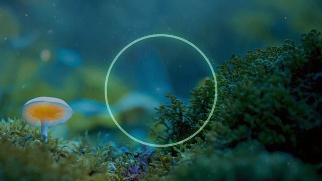 12Hz Binaural Beats Alpha Waves Relaxing Sleeping Meditation Music, Brain Power, Focus Concentratio смотреть онлайн