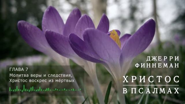 07 Молитва веры и следствия, Христос воскрес из мёртвых смотреть онлайн