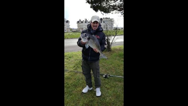 DORADA Cantabria SANTANDER 3.100 cantábrico. Raos. Norte. смотреть онлайн