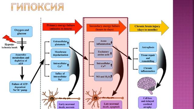 Экстремальные состояния: кома. Часть 2.