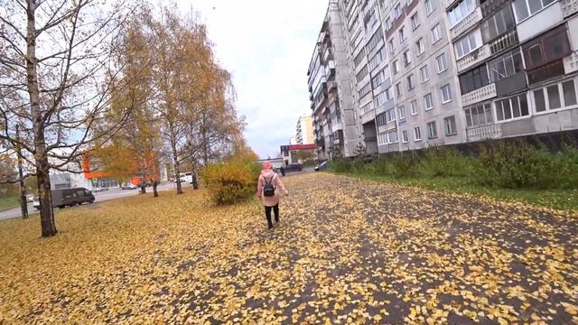 Осень и бардак на ул. Шолохова. смотреть онлайн