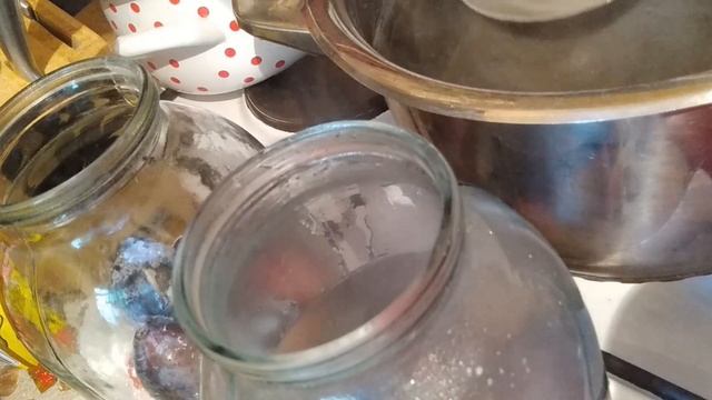 Зоопарк и Дикие Животные