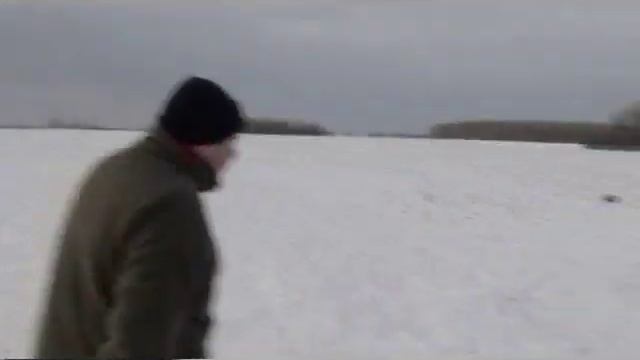 Охота на лис во время гона смотреть онлайн