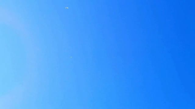 Порезал крылья голубям и полёт голубей. Cut the wings of the pigeons смотреть онлайн