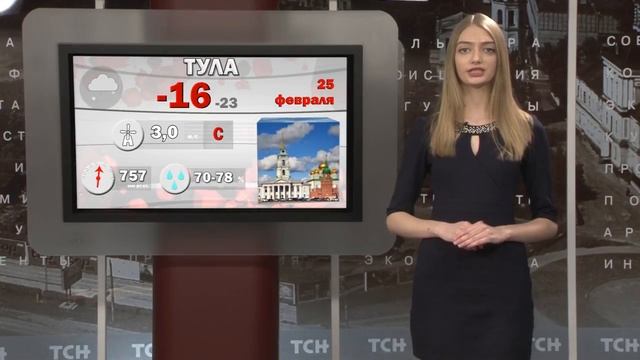 Погода в Туле на 25 февраля 2018 года смотреть онлайн