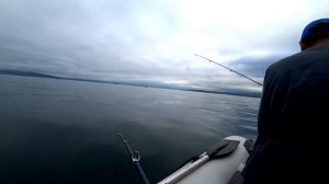 МОРСКАЯ РЫБАЛКА! Ловля камбалы с лодки. Май 2021!