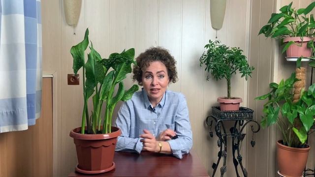 Ремонтные Легенды