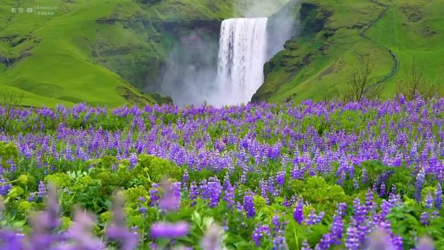 Расслабляющая музыка ? Нежная музыка, успокаивает нервную систему и радует душу смотреть онлайн