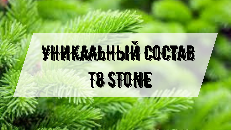 Уникальный состав Т8 STONE