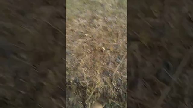 Портал Игра. Прикол. Ребенок играет. Фишки от Маришки смотреть онлайн