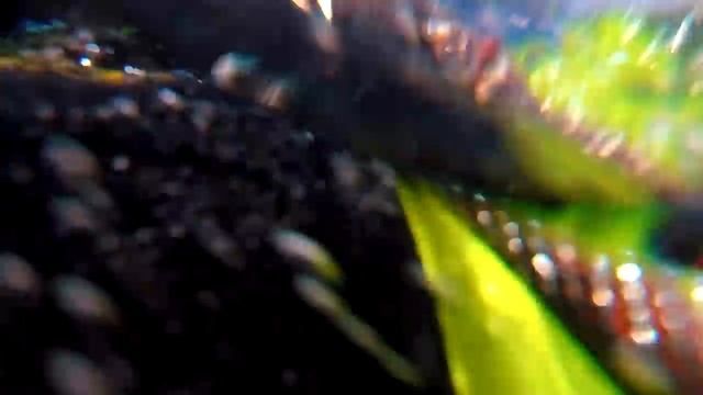 Flood Rescue Operations Helo Training смотреть онлайн