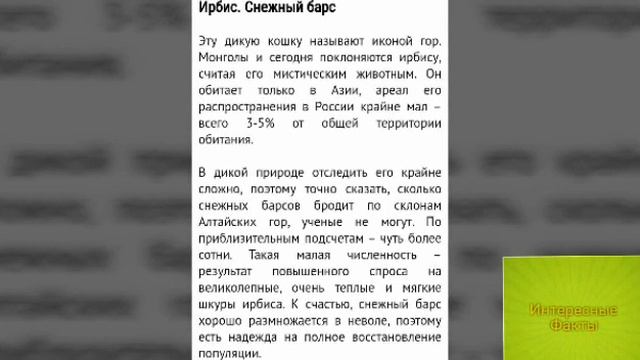 Топ-15 Самых Редких Животных в Мире! смотреть онлайн