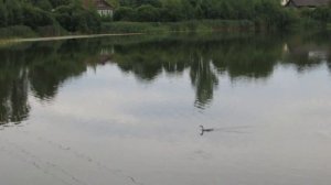 Прогулка по Бологое