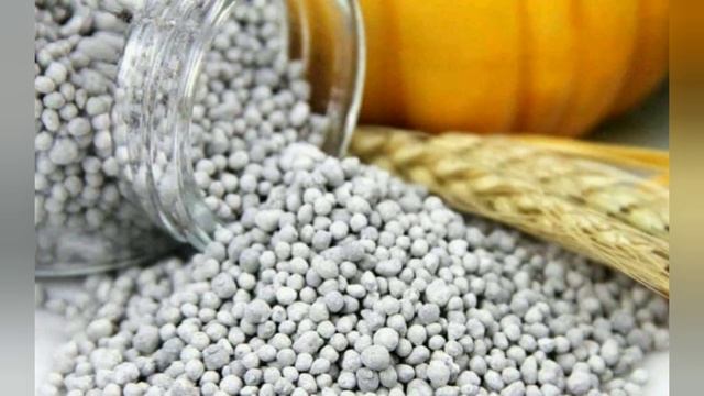 Листья перца стали фиолетовыми! Проблема всех паслёновых! Почему так происходит и как исправить? смотреть онлайн