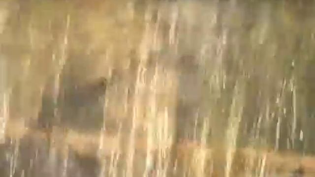 Водопад на участке смотреть онлайн