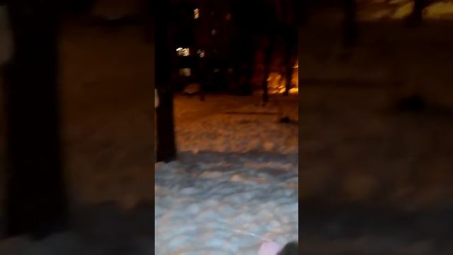 2018г.24февраля...Софочка гуляет за долгое время смотреть онлайн