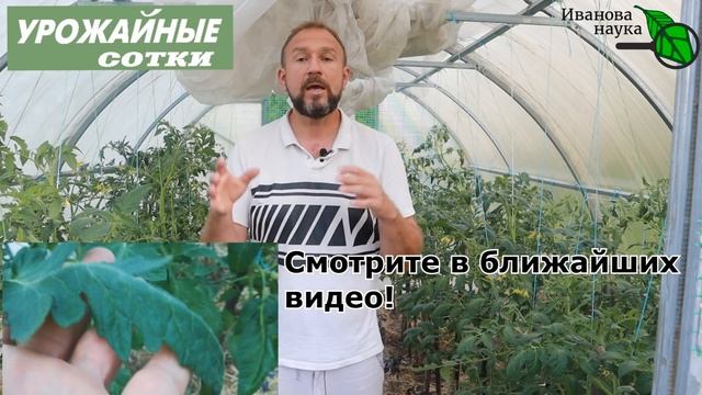 ЖАРА! 5 СПОСОБОВ уберечь растения от жары! смотреть онлайн