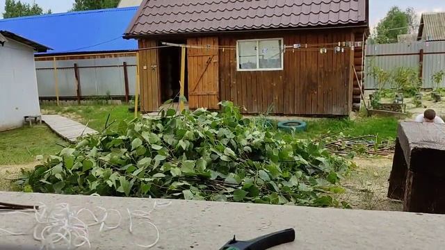 вяжем берёзовые веники в баню смотреть онлайн