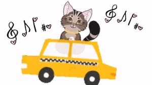Кошка едет на такси
