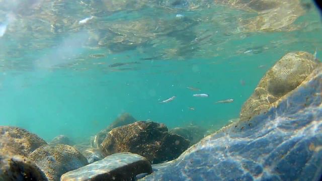 Март в Черном море. смотреть онлайн